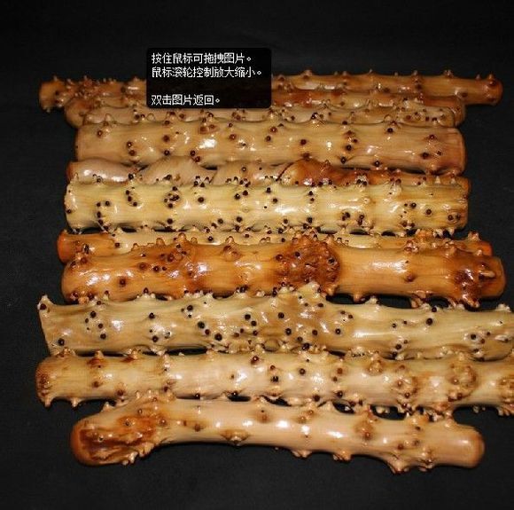 花椒樹枝